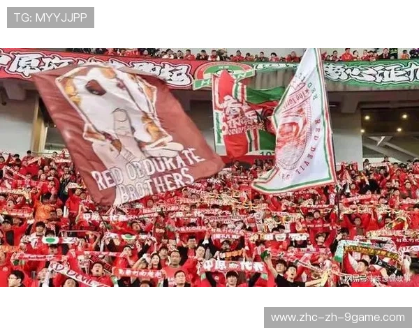 河南等地打造足球产业集群，促进更多就业和经济增长，河南的职业足球队